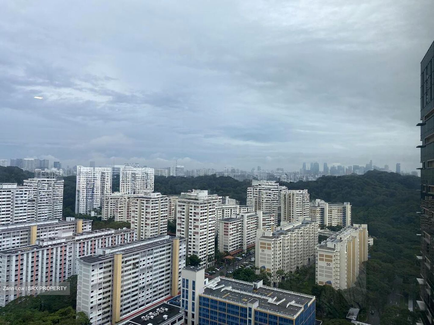 Skyline Residences (D4), Condominium #521465671